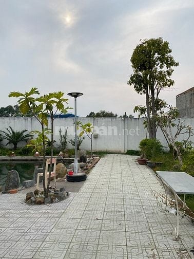 Cho thuê nhà vườn 1650m2 Củ Chi