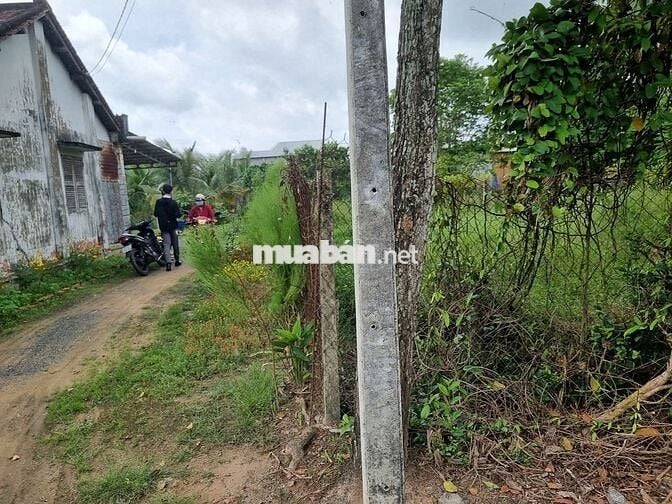 271m2 có thổ cư. Gần KCN Hiệp Thạnh. 6m ngang, 450tr