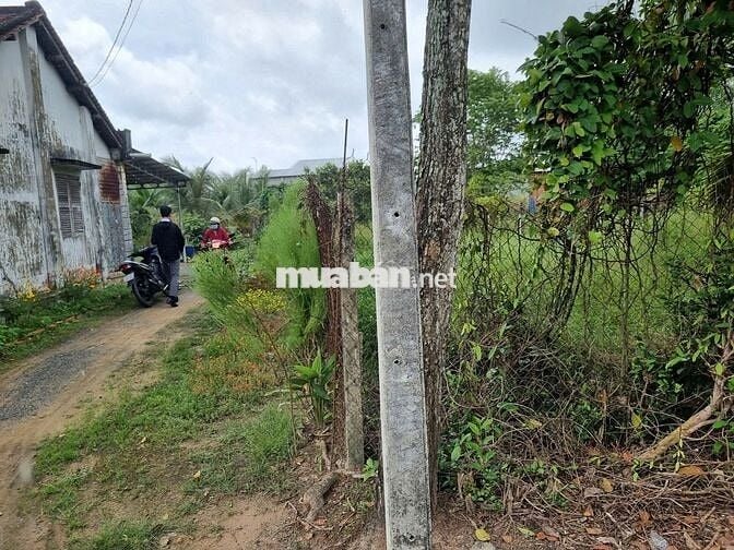 271m2 có thổ cư. Gần KCN Hiệp Thạnh. 6m ngang, 450tr