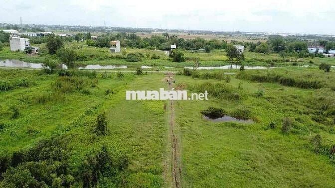 Bán Đất 500m2 Ngay Võ Văn Bích Bình Mỹ Củ Chi