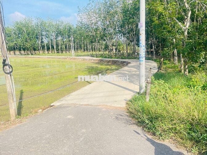 6x34 có thổ. đường bê tông thông. Gần cổng KCN. Hơn 500tr