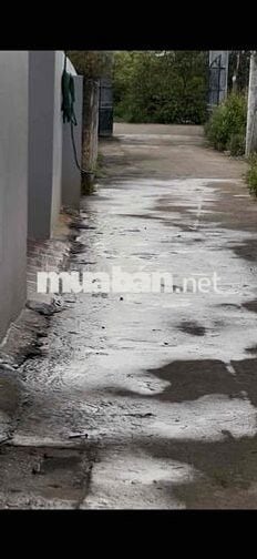Bán gấp mảnh đất Nguyên bì Quất động Thường tín Hà Nội gần quốc lộ 1A