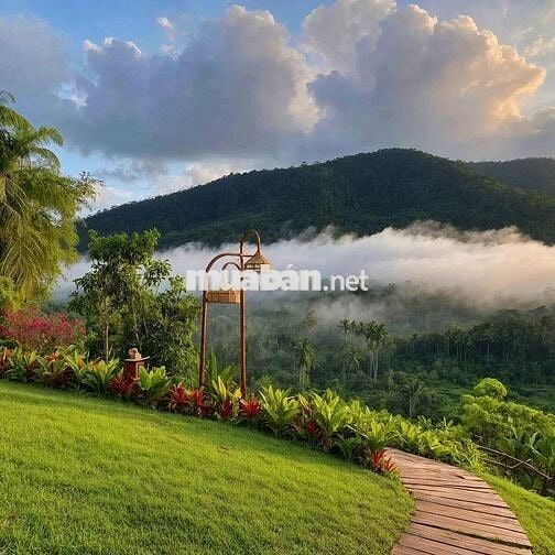 Trốn phố, tìm mây – sở hữu ngay 1000m² đất nền nghỉ dưỡng tại Bảo Lâm