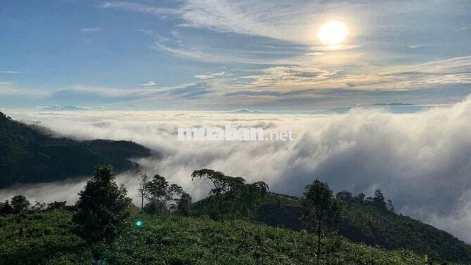 Trốn phố, tìm mây – sở hữu ngay 1000m² đất nền nghỉ dưỡng tại Bảo Lâm