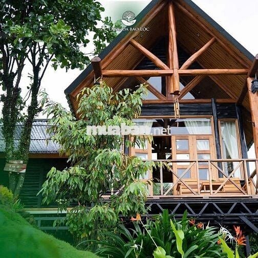 Trốn phố, tìm mây – sở hữu ngay 1000m² đất nền nghỉ dưỡng tại Bảo Lâm