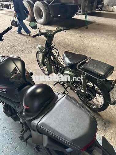 Xe Cúp cánh én Zin cứng mới