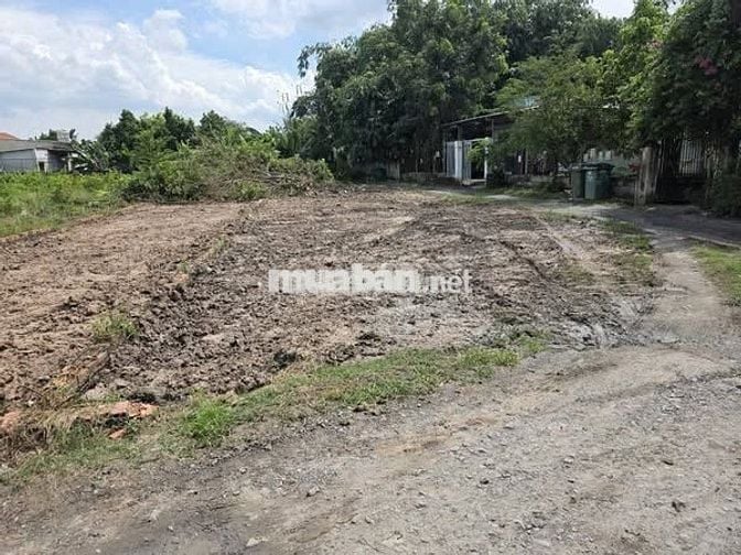 ĐẤT ĐẸP ĐANG CẦN BÁN NHANH EM BÁN TRỰC TIẾP MONG GẶP THIỆN CHÍ.
