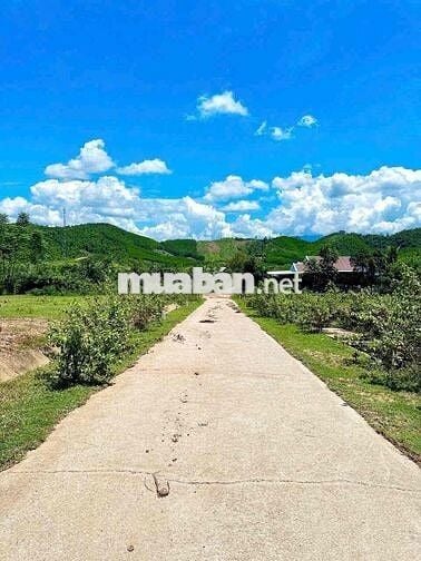 🌴🆘Đất thôn Nước Nhĩ xã Khánh Vĩnh (Xã Khánh Phú cũ) Full thổ cư 🆘  📏DT