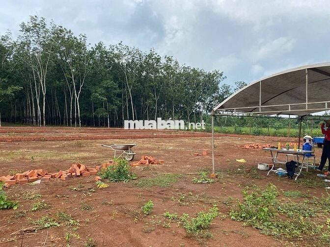 ĐẤT ĐẸP LONG HÀ- ĐỒNG NAI giá chỉ từ 300tr/sổ với diện tích 400m2