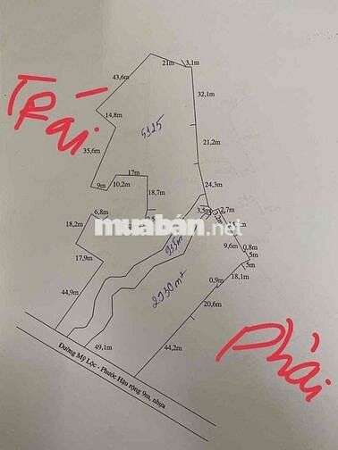 bán đất mặt tiền đường nhựa và sông cầu tràm thị trấn cần giuộc long a