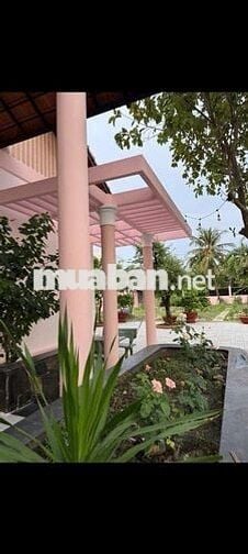NHÀ SÂN VƯỜN1800m,GỒM 3PN,2WC,SÂN BÓNG ĐÁ,ĐẤT TRỐNG  HỢP NUÔI THÚ CƯNG