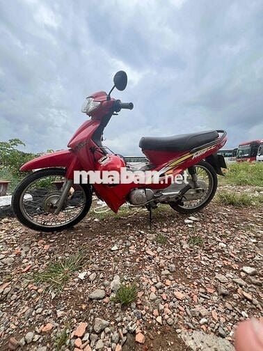 xe đi cầy