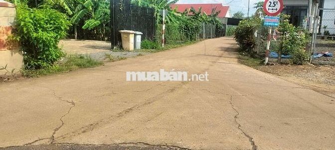 Đất vườn diện tích 1000m2 giá 650 triệu đường Điểu Xiển Bàu Trâm