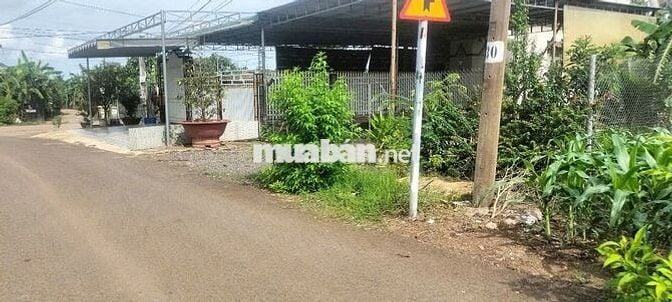 Đất vườn diện tích 1000m2 giá 650 triệu đường Điểu Xiển Bàu Trâm