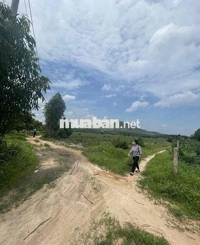Bán đất quy hoặc g lớn 15m , Ngay ngã Ba