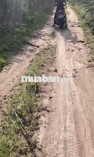 Bán đất quy hoặc g lớn 15m , Ngay ngã Ba
