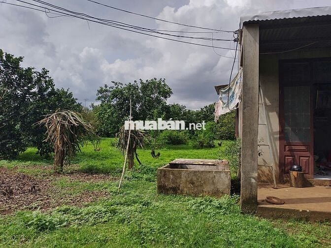 Đất vườn diện tích 1000m2 giá 650 triệu đường Điểu Xiển Bàu Trâm