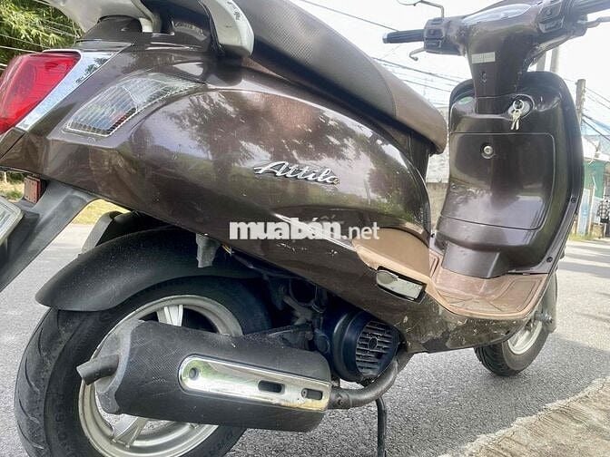 atila màu soloca