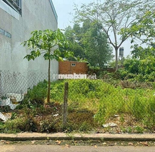 Ba mẹ cho đất bán nhanh 715tr đ Thiên Giang, Tân Túc ,Bình Chánh SHR