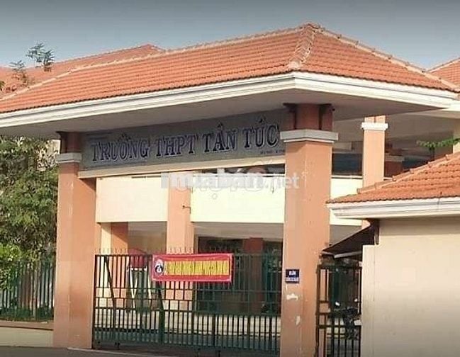 Ba mẹ cho đất bán nhanh 715tr đ Thiên Giang, Tân Túc ,Bình Chánh SHR