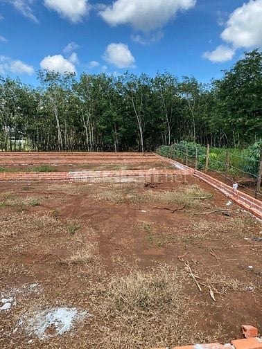 ĐẤT ĐẸP LONG HÀ - ĐỒNG NAI giá chỉ từ 300 triệu/sổ