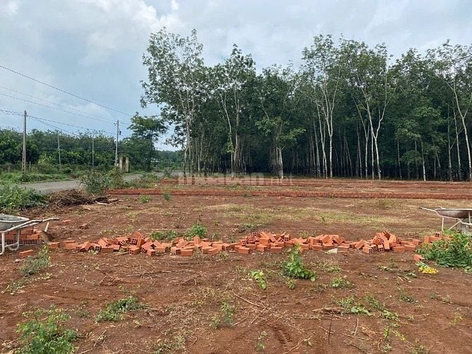 ĐẤT ĐẸP LONG HÀ - ĐỒNG NAI giá chỉ từ 300 triệu/sổ