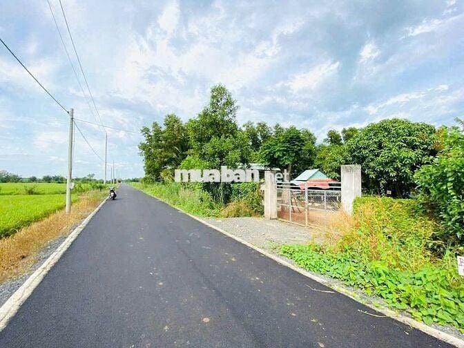 Bán đất tại Xã Láng Dài, Long Đất, Bà Rịa Vũng Tàu, 24 tỷ, 8000 m2