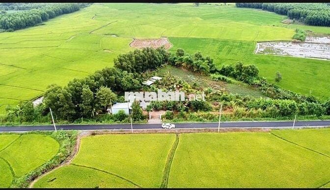 Bán đất tại Xã Láng Dài, Long Đất, Bà Rịa Vũng Tàu, 24 tỷ, 8000 m2