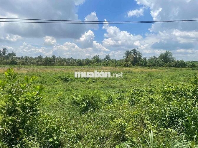 Bán đất gần Núi Bà Đen – Dương Minh Châu, Tây Ninh