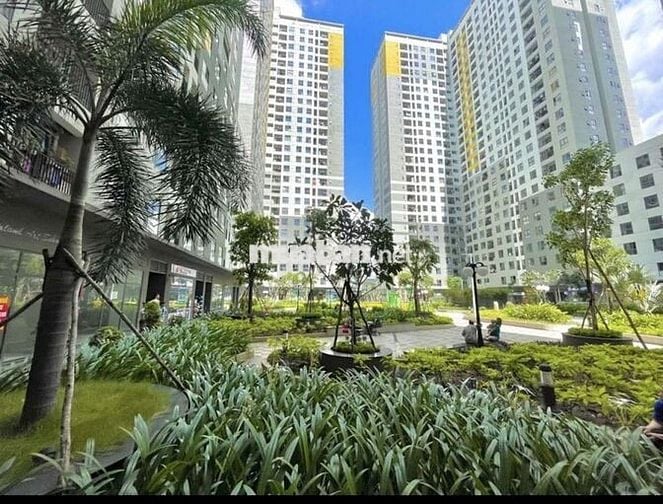 Cho thuê căn hộ 2pn 2wc Bcons Garden
