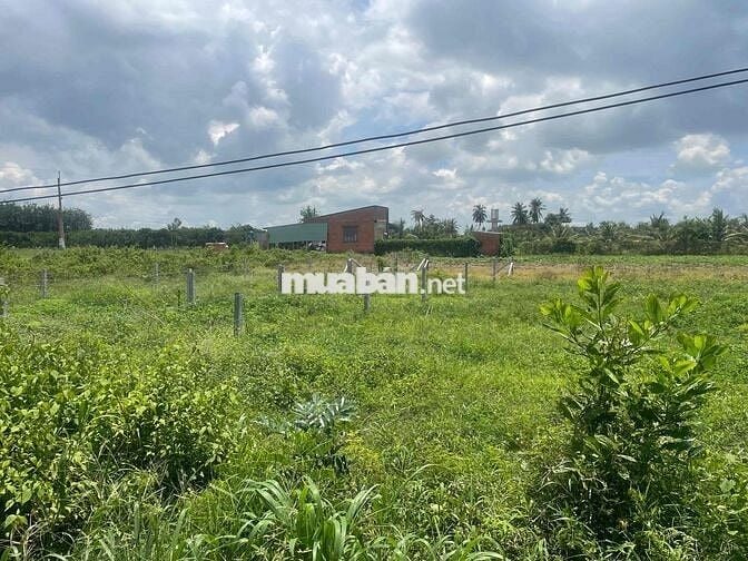 Bán đất gần Núi Bà Đen – Dương Minh Châu, Tây Ninh