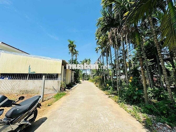 CHỦ ĐI ĐỊNH CƯ NN CẦN BÁN LÔ ĐẤT ĐẸP NỞ HẬU