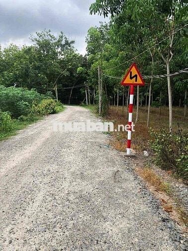 Bán đất gần Núi Bà Đen – Dương Minh Châu, Tây Ninh