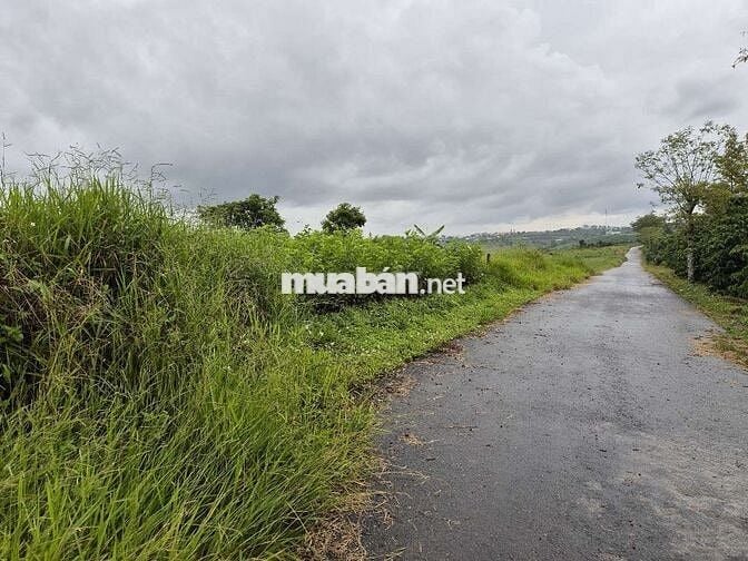 View đẹp giá đẹp trung tâm phường 2