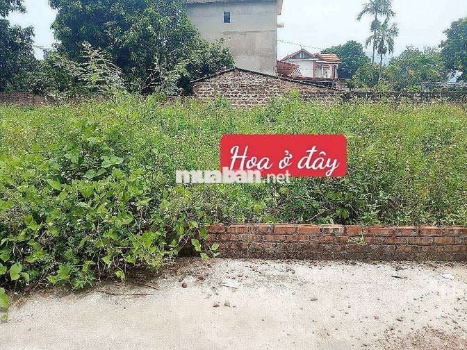 💥💥💥 BÁN ĐẤT FULL THỔ CƯ – MINH TRÍ, SÓC SƠN – GẦN HỒ ĐỒNG ĐÒ 💥💥💥