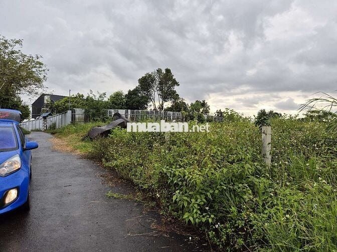 View đẹp giá đẹp trung tâm phường 2