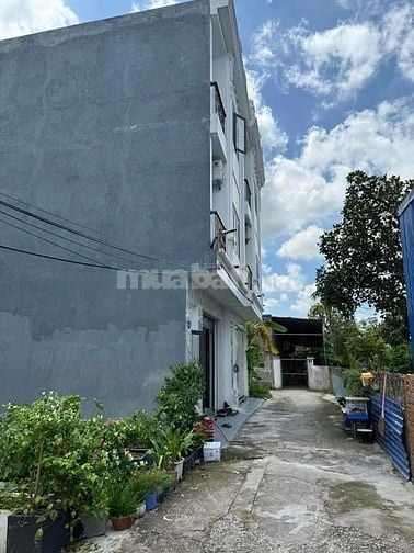 Bán 50m2 đất tại Bạch Mai An Dương Hải Phòng