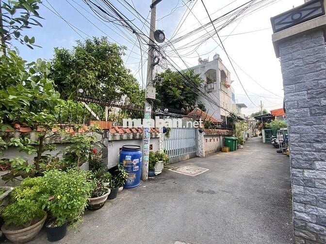Gần 300m2 đất+🏡Nhà cây xanh lá vườn🍀hẻm xe hơi🚙 hiếm, đẹp‼️13,9 tỷ