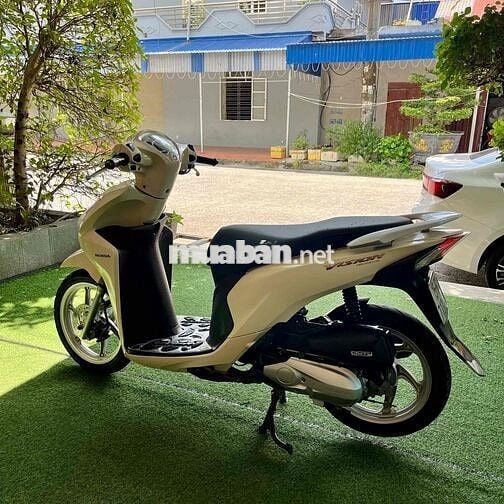cần bán vison2019