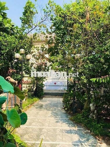 Gần 300m2 đất+🏡Nhà cây xanh lá vườn🍀hẻm xe hơi🚙 hiếm, đẹp‼️13,9 tỷ