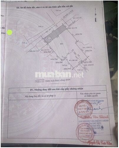 Gần 300m2 đất+🏡Nhà cây xanh lá vườn🍀hẻm xe hơi🚙 hiếm, đẹp‼️13,9 tỷ