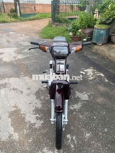 xe driem hàn quốc up full super cục máy 110 repleo