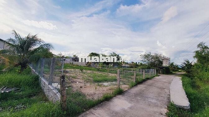 Bán vườn cây 993m thôn bình an Hàm chính,  QL28 có thổ cư