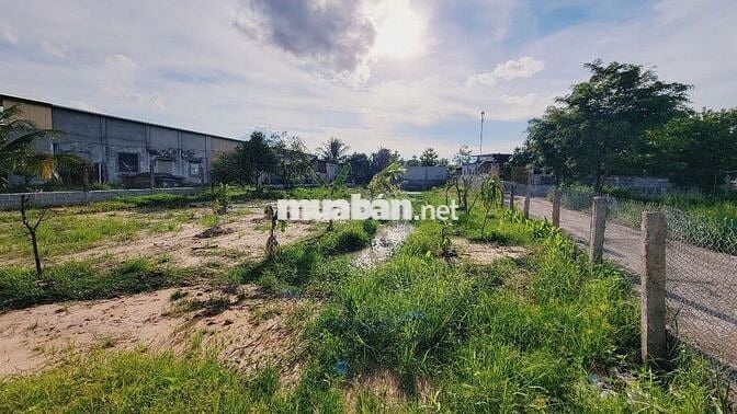 Bán vườn cây 993m thôn bình an Hàm chính,  QL28 có thổ cư