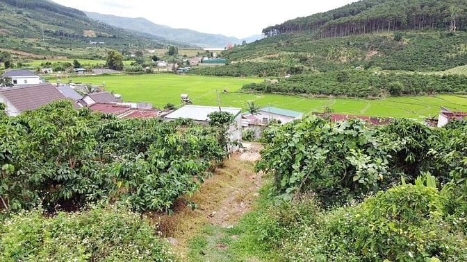 Đất nền cực đẹp, gần hồ Kala, view ruộng, đồi thông, giá rẻ.