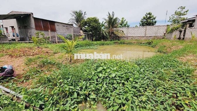 Bán vườn cây 993m thôn bình an Hàm chính,  QL28 có thổ cư