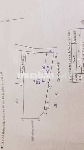 Bán vườn cây 993m thôn bình an Hàm chính,  QL28 có thổ cư