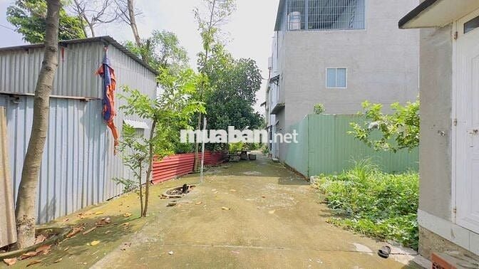 Đất kdc Đất mới phường Tân Bình Tp Dĩ An