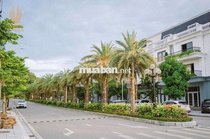 Biệt thự - Vinh riverside - mặt hướng sông Lam, Lưng tựa núi Quyết