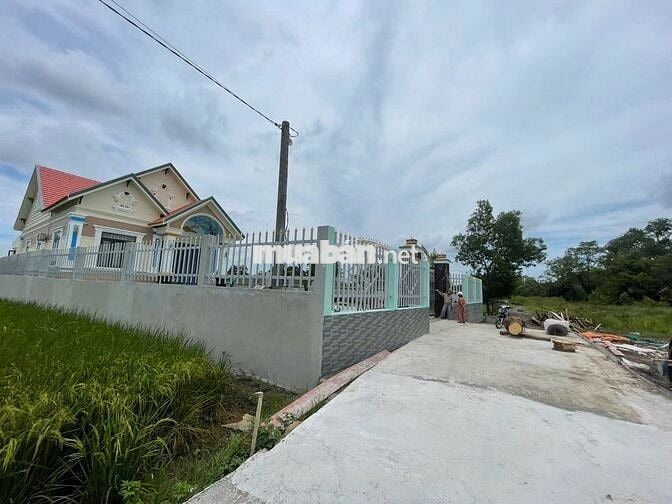 Bán Đất Phước Tú, Thanh Phú, Bến Lức, Long An